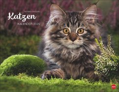 Monika Wegler: Katzenkalender 2025 von Heye / Heye Kalender