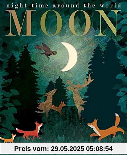 Moon: night-time around the world Moon: night-time around the world