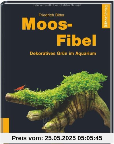 Moos-Fibel: Dekoratives Grün im Aquarium