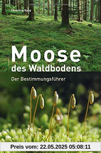 Moose des Waldbodens: Der Bestimmungsführer
