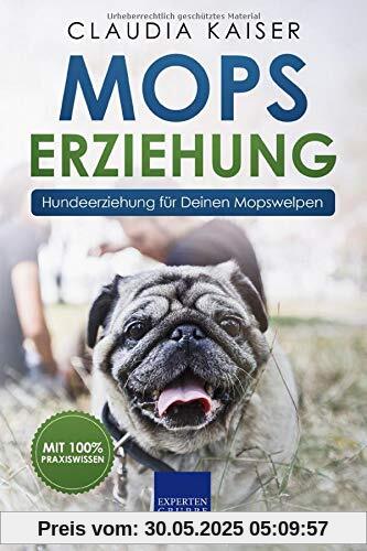 Mops Erziehung: Hundeerziehung für Deinen Mopswelpen (Mops Band, Band 1)