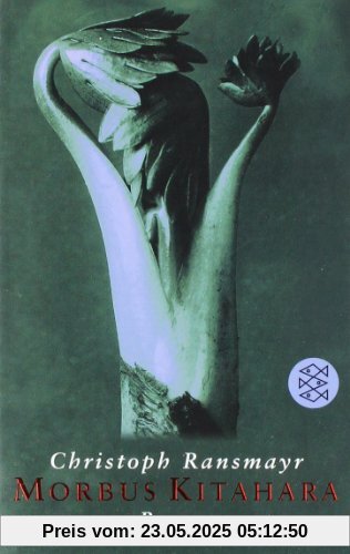 Morbus Kitahara: Roman Morbus Kitahara: Roman