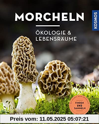 Morcheln: Ökologie und Lebensräume