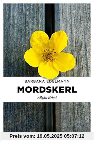 Mordskerl: Allgäu Krimi (Sissi Sommer, Klaus Vollmer)