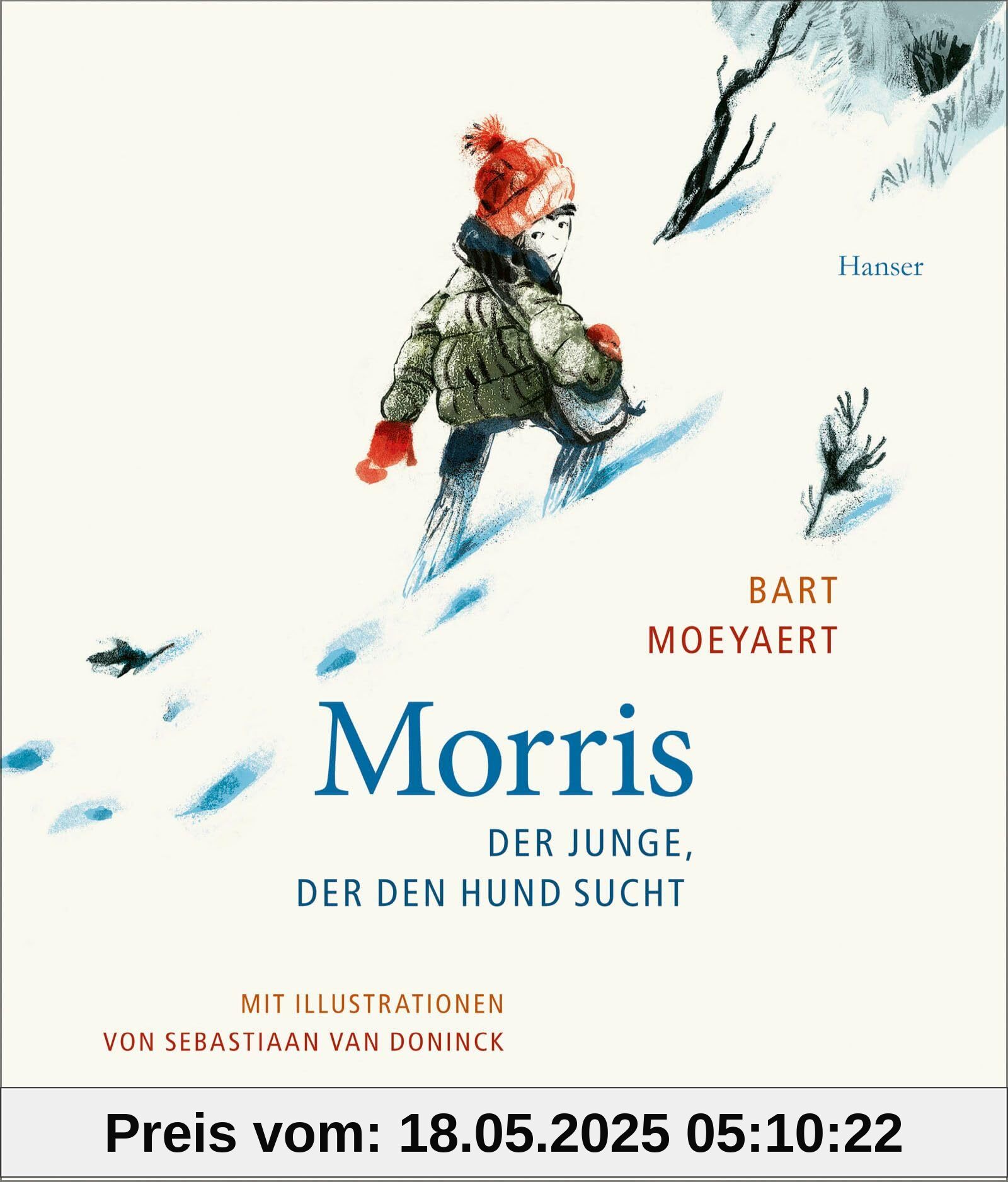 Morris: Der Junge, der den Hund sucht