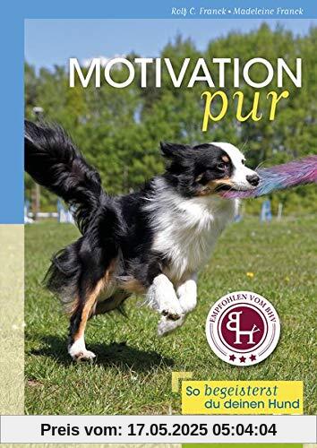 Motivation pur