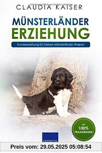 Münsterländer Erziehung: Hundeerziehung für Deinen Münsterländer Welpen Münsterländer Erziehung: Hundeerziehung für Deinen Münsterländer Welpen