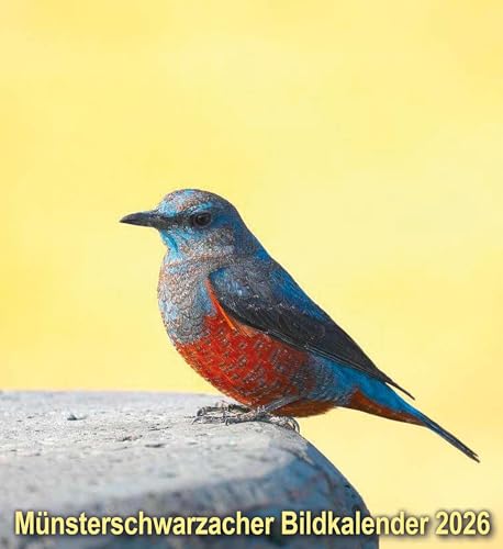 Münsterschwarzacher Bildkalender 2026 (Münsterschwarzacher Kalender) von Vier Türme