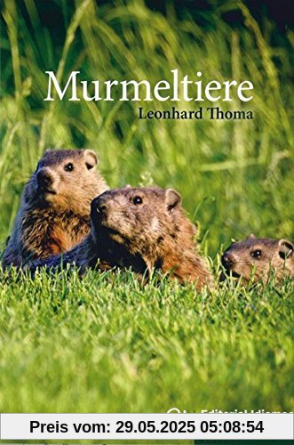 Murmeltiere: Deutsch als Fremdsprache / Buch
