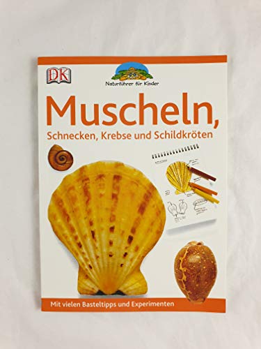 Muscheln: Schnecken, Krebs und Schildkröten. Mit vielen Basteltipps und Experimenten
