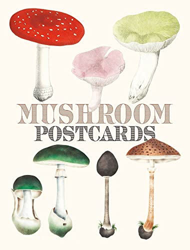 Mushroom Postcards von Pie International