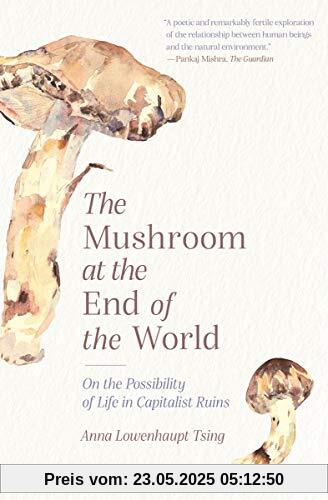 Mushroom at the End of the World: On the Possibility of Life in Capitalist Ruins