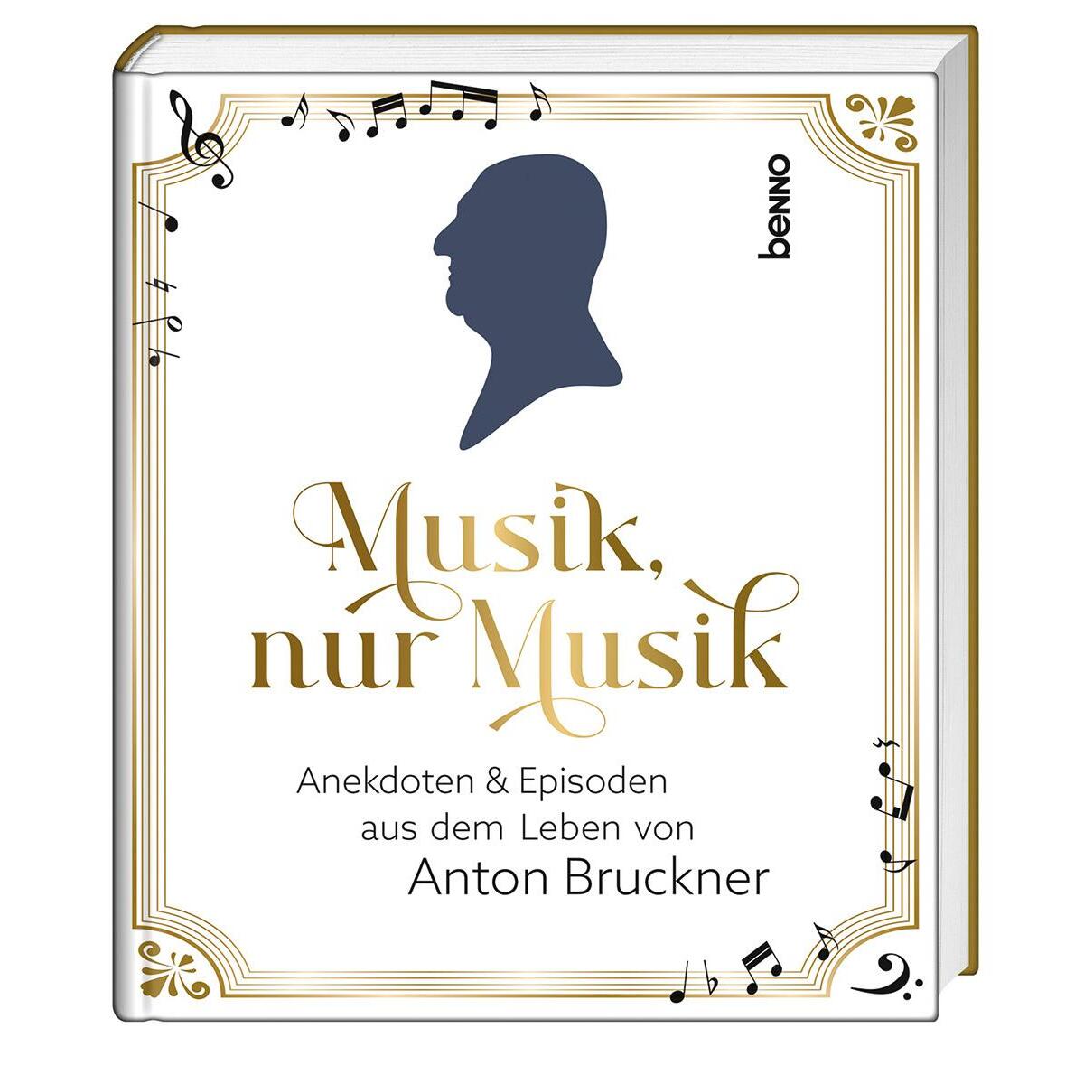 Musik, nur Musik von St. Benno Verlag