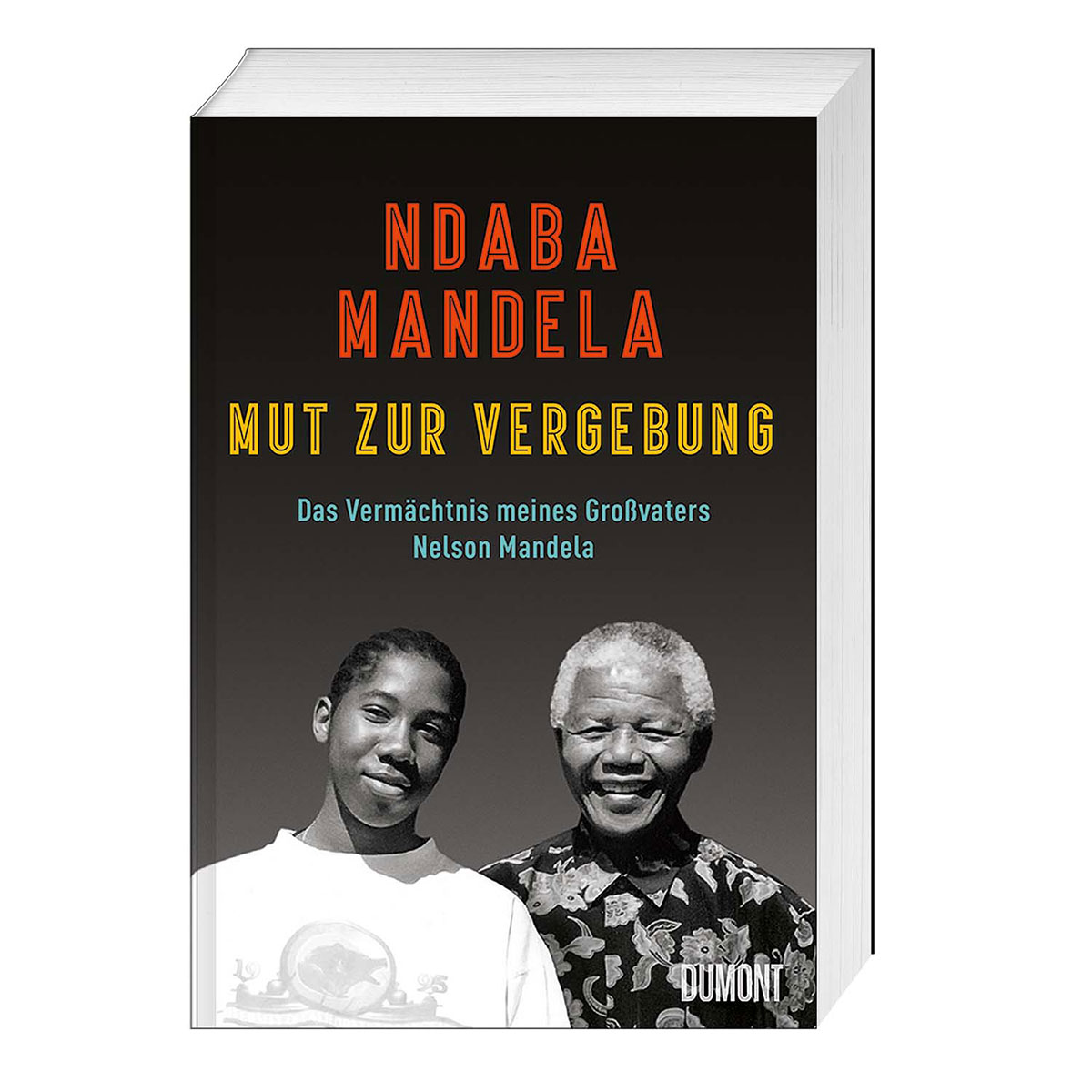 Mut zur Vergebung von dumont buch