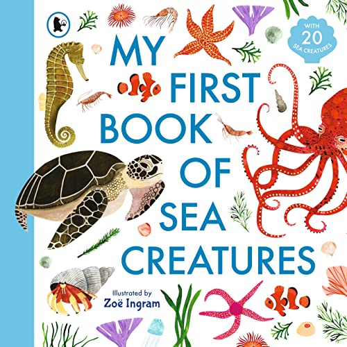 My First Book of Sea Creatures (Zoe Ingram's My First Book of...) von WALKER BOOKS