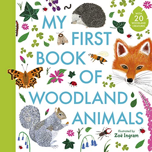 My First Book of Woodland Animals (Zoe Ingram's My First Book of...) von WALKER BOOKS