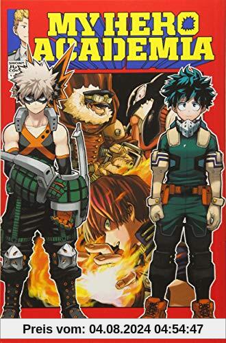 My Hero Academia, Vol. 13