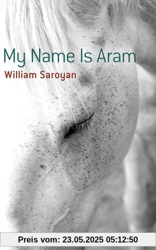 My Name Is Aram