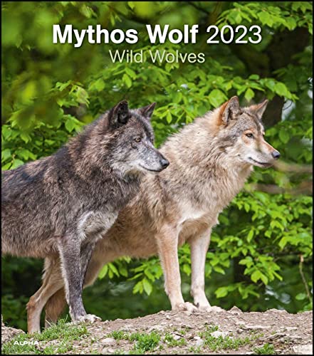 Mythos Wolf 2023 - Foto-Kalender - Wand-Kalender - 30x34: Wild Wolves von Alpha Edition