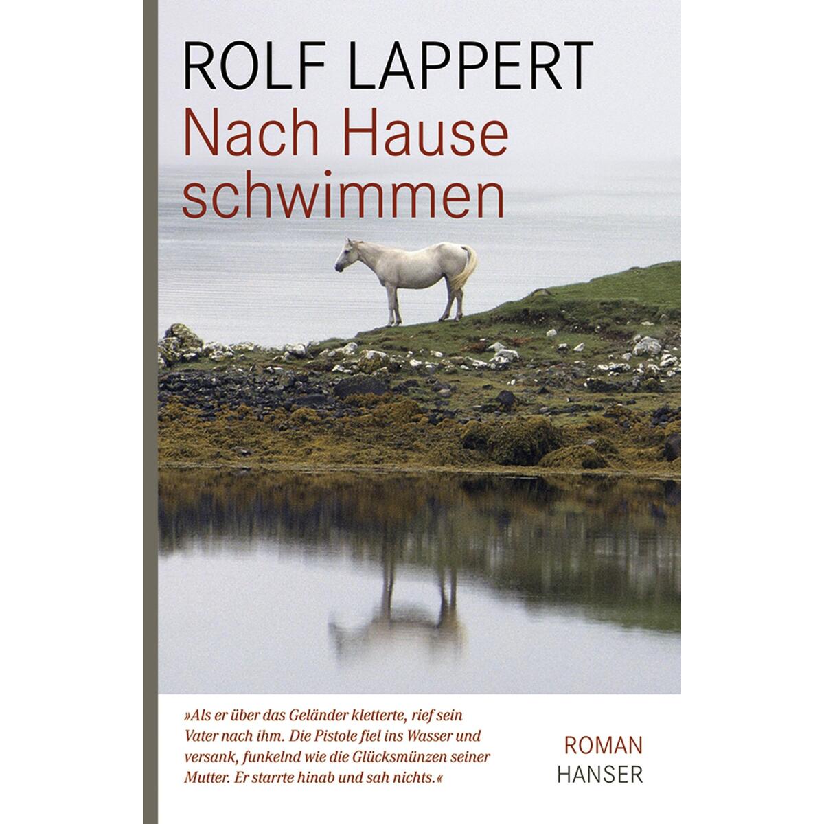 Nach Hause schwimmen von Carl Hanser Verlag