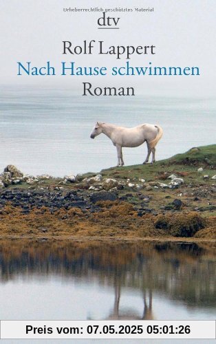 Nach Hause schwimmen: Roman