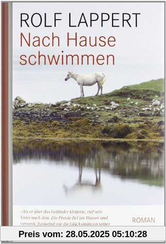 Nach Hause schwimmen: Roman