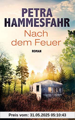 Nach dem Feuer: Roman