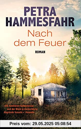 Nach dem Feuer: Roman