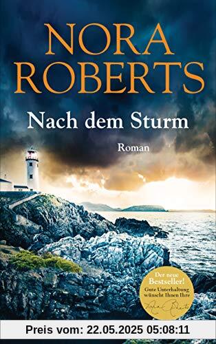 Nach dem Sturm: Roman