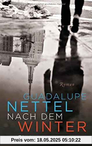 Nach dem Winter: Roman