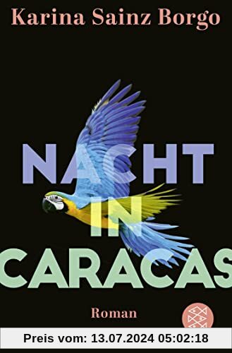 Nacht in Caracas: Roman