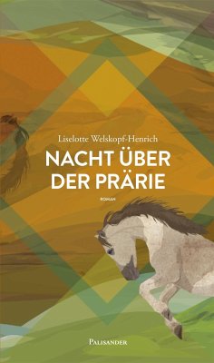 Nacht über der Prärie von Palisander Verlag
