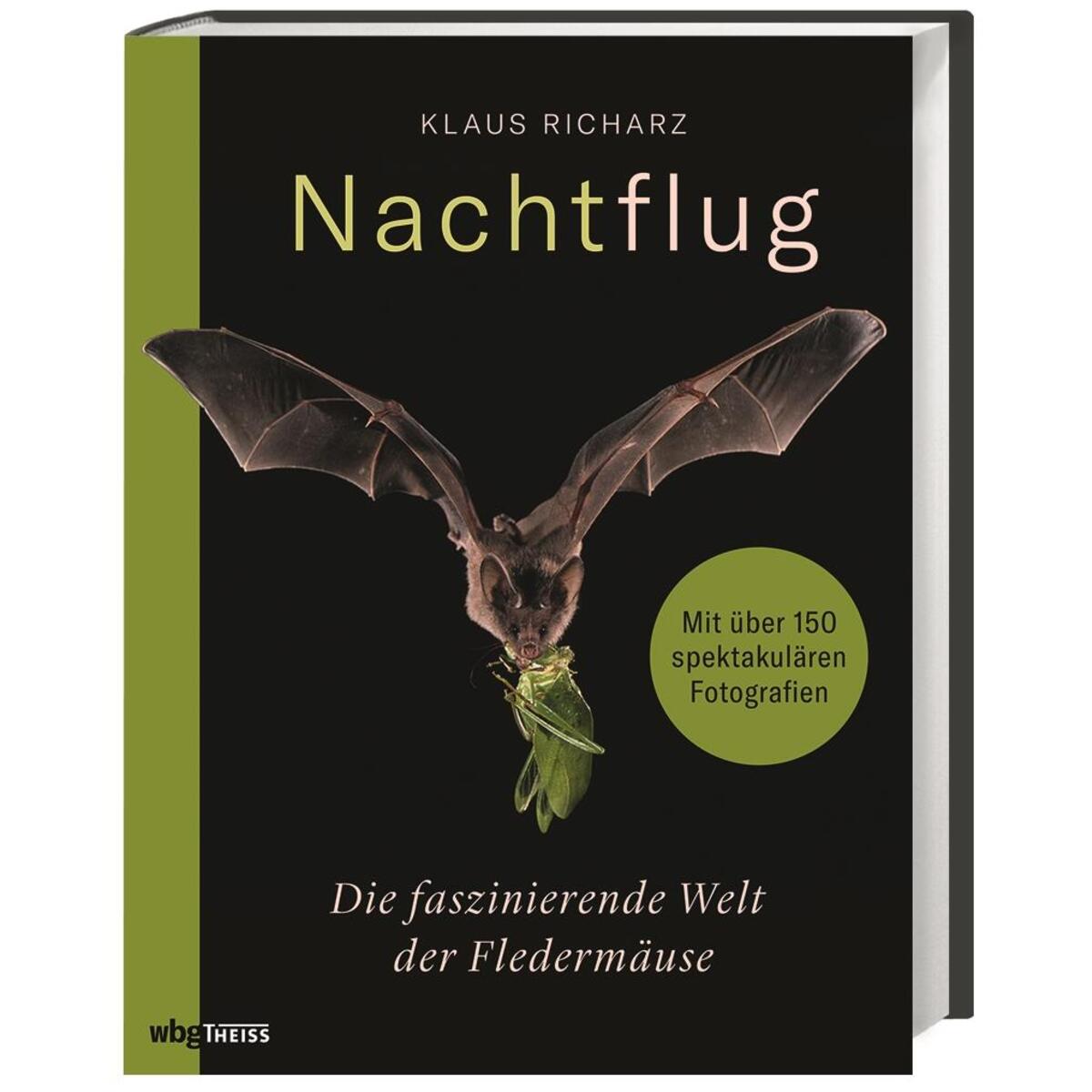 Nachtflug von wbg Theiss