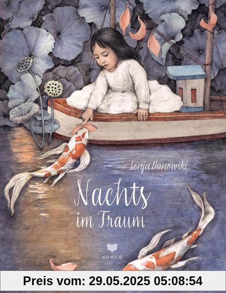 Nachts im Traum