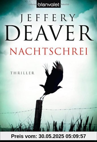 Nachtschrei: Thriller