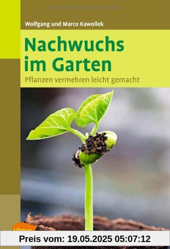 Nachwuchs im Garten: Pflanzen vermehren leicht gemacht