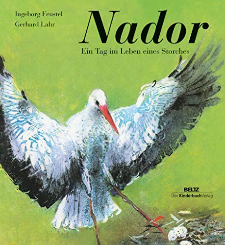 Nador: Ein Tag im Leben eines Storches