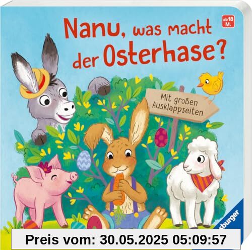 Nanu, was macht der Osterhase?: Mit großen Ausklappseiten