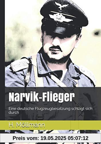 Narvik-Flieger: Eine deutsche Flugzeugbesatzung schlägt sich durch