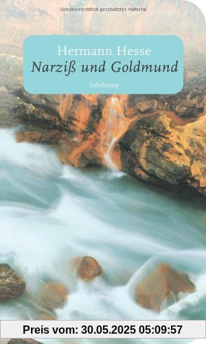 Narziß und Goldmund: Erzählung (suhrkamp taschenbuch)