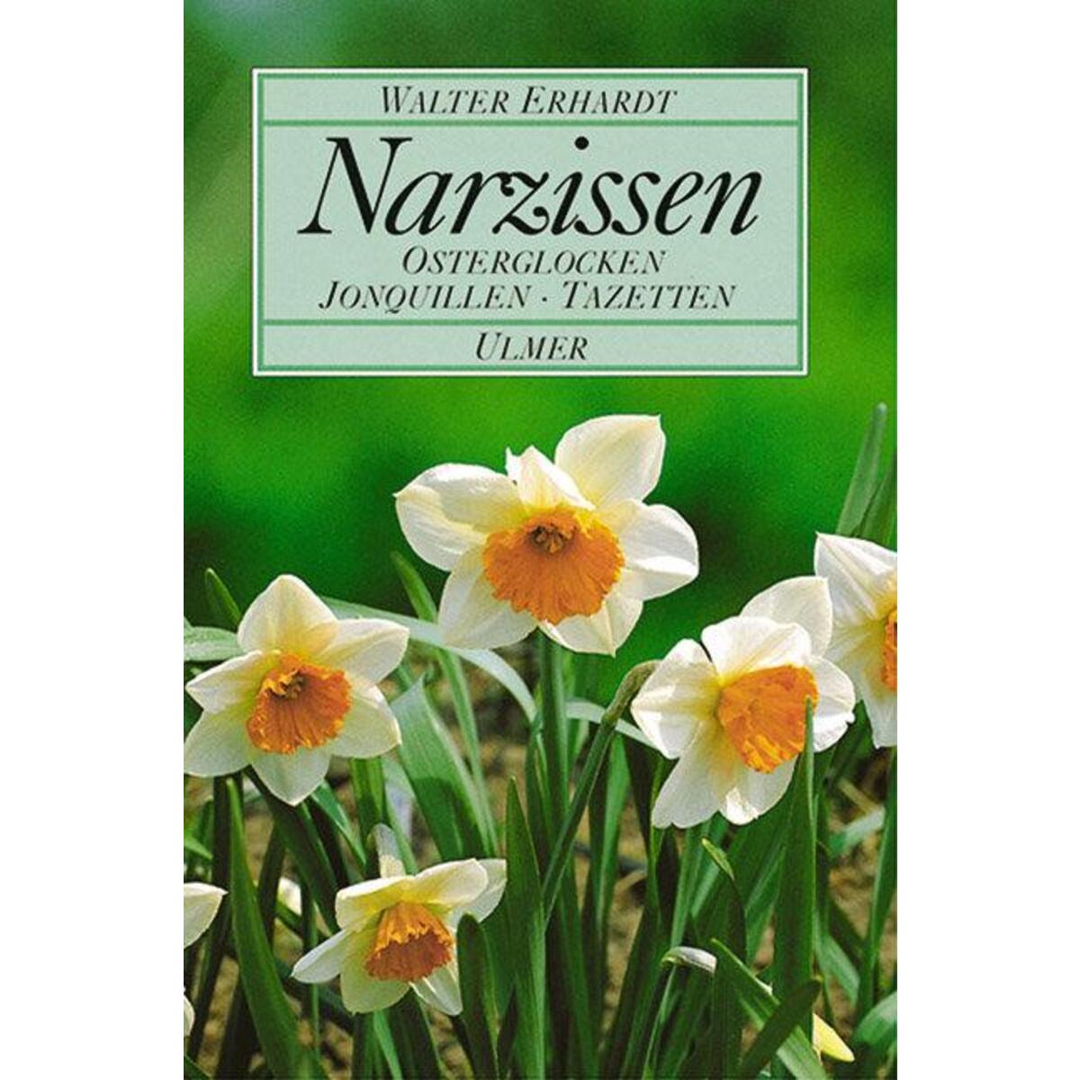 Narzissen von Ulmer Eugen Verlag