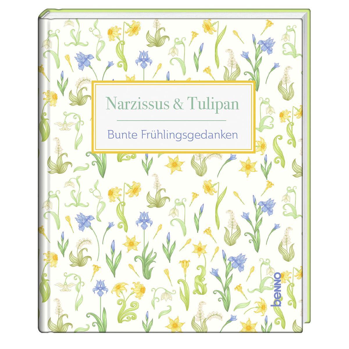 Narzissus & Tulipan Narzissus & Tulipan von St. Benno Verlag