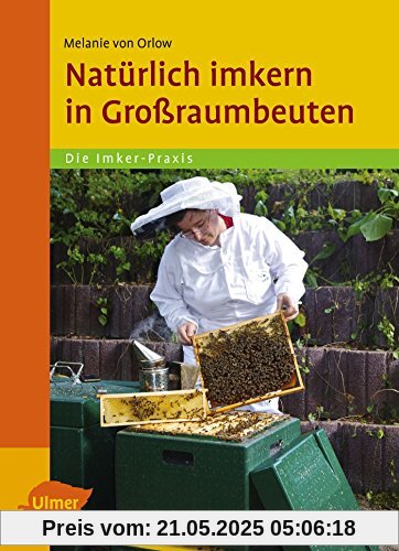 Natürlich imkern in Großraumbeuten