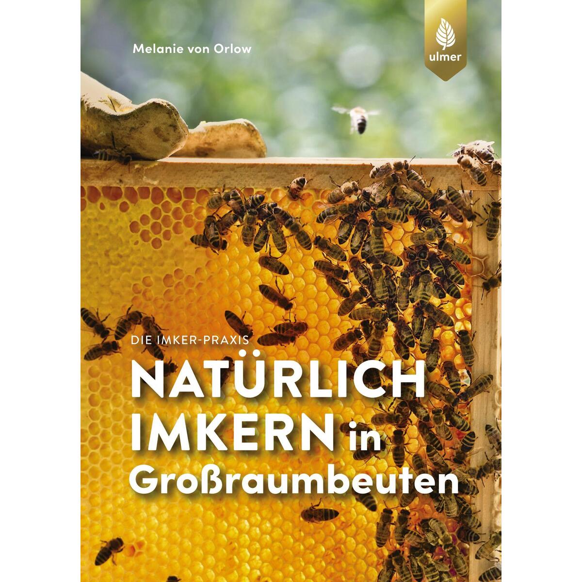 Natürlich imkern in Großraumbeuten von Ulmer Eugen Verlag
