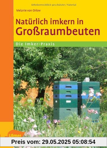 Natürlich imkern in Großraumbeuten