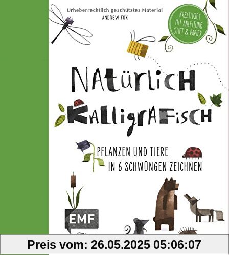 Natürlich kalligrafisch: Pflanzen und Tiere in 6 Schwüngen zeichnen - Kreativset mit Anleitung, Stift und Papier