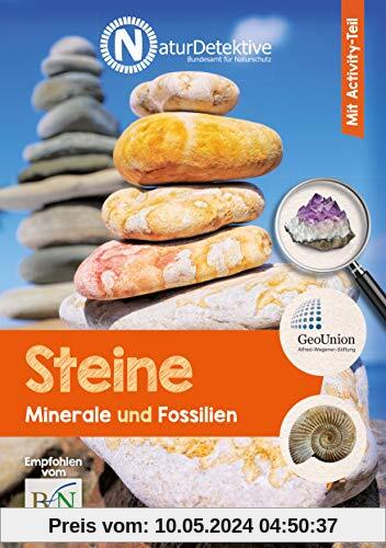 Naturdetekvie Steine, Minerale & Fossilien (Naturdetektive)