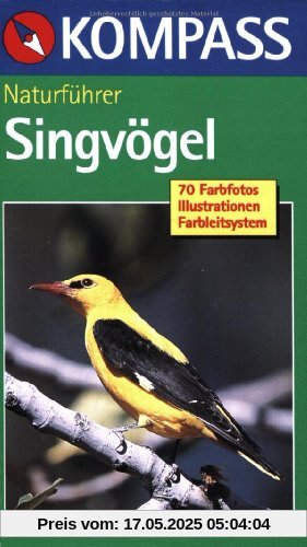 Naturführer Singvögel: Sehen und verstehen