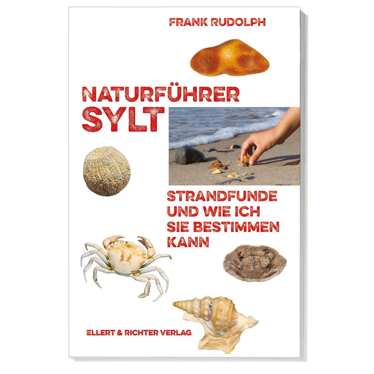 Naturführer Sylt von Ellert & Richter Verlag G