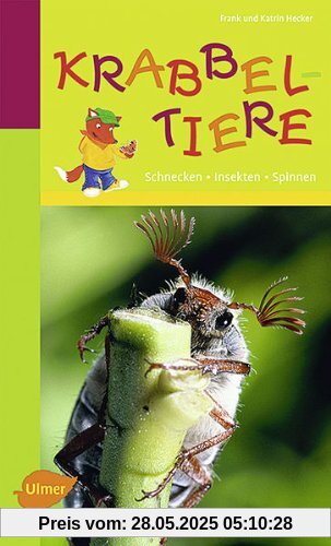 Naturführer für Kinder: Krabbeltiere: Schnecken, Insekten, Spinnen